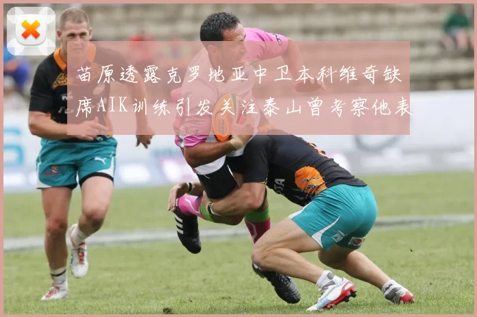 苗原透露克罗地亚中卫本科维奇缺席AIK训练引发关注泰山曾考察他表现
